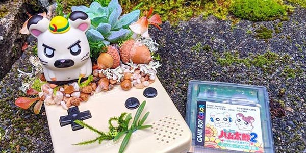 ��˵��Ϸ��̫�ò���Ὺ��Ŷ