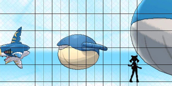 ���������ʵ���磬��Щ���������������ж����