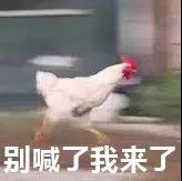 ������ľ��ŵ