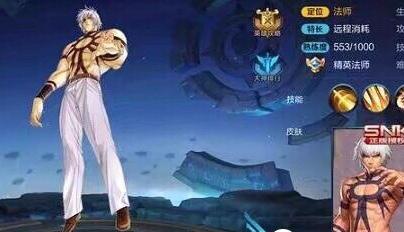 ���������snkƤ�����������һ����ѱ�ʾ����������Ϸж��