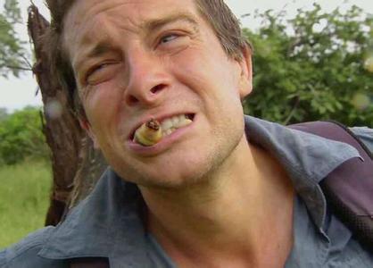 ����ζ���Դ���һ�� ��ү����ζ���Դ��������