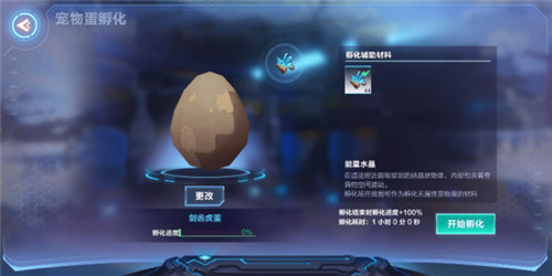 �ҵ���Դ���ﵰ�������ܽ��� ������ʲôҪ��