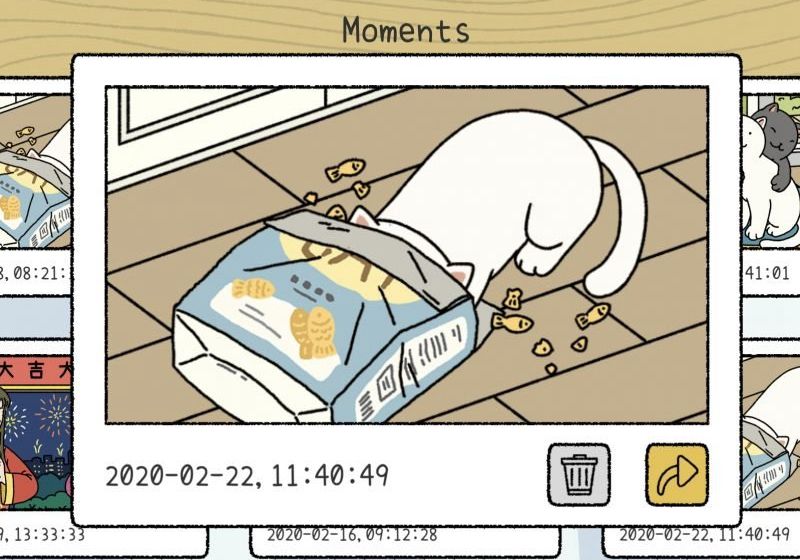 ��լ������Ϸ�г���èʧ������ΰ�?Adorable Homeè�䳣������ָ��