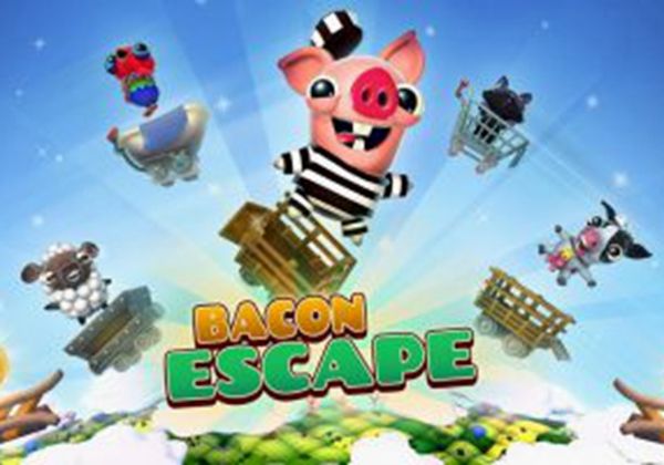 ���������һֻ��������֮·