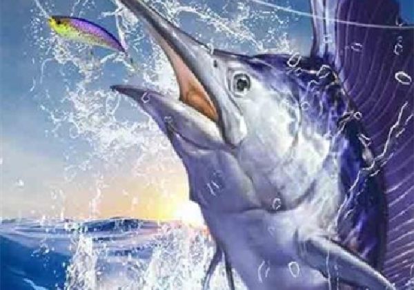 �����������Ϸ�г�Ϊ�ھ����ɴ�ȫ����Щ��Fishing Championship�ù��ؼ�