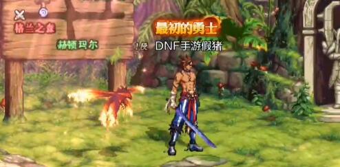 DNF���ξ���ƺŻ�ȡ����ָ�Ͻ���