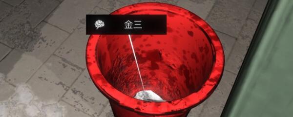 孙美琪疑案金凤凰金三简历从哪发现 孙美琪疑案金凤凰金三简历从哪发现