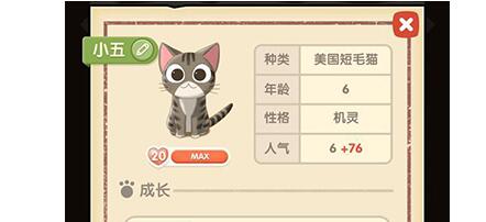 è�￧��С��ʵ���Լ���������