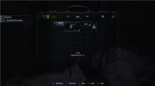 生化危机8村庄怎么开光追 光线追踪模式开启方法