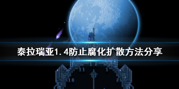 ̩�����Ǹ���֮����ô��ֹ����