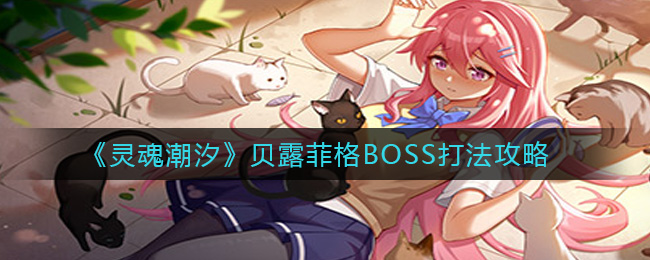 ��곱ϫ��¶�Ƹ���ô��