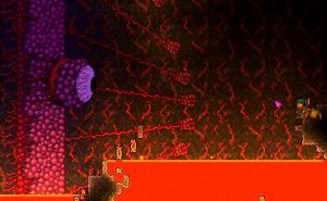 泰拉瑞亚血肉墙怎么打