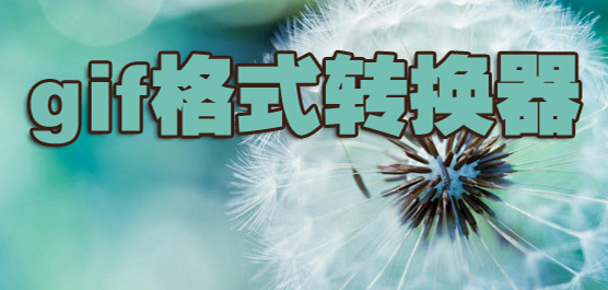 ��Ƶתgifת����