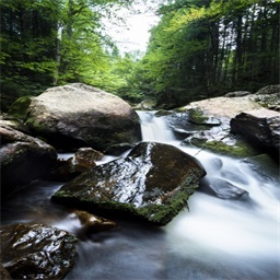 ���Զ������������3����Դ��720/1080P�� ��������