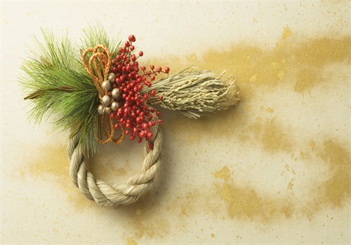 ɩ�ӵ�����ȫ������� ɩ�ӵ�������С�����Ӷ��������½������Ķ����