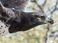 ����С˵ �ۺ�ױ����ױ����ī1-89����δɾ���½��Ķ���ַ