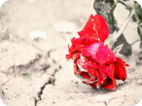 ���ȸ���Ȼ���������aδɾ��ȫ����Դ�����Ķ���ַ