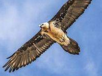 �ۺ�ױȫ�����Ŀ� �ۺ�ױȫ�������Ķ���ַ