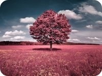 ���������鰮����������İȻС˵���������Ķ����     ���������鰮��С˵�����