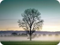 2801�����������½������Ķ����  2801ȫ�������