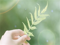 �Ϸ粻�������ȫ�������½��Ķ���ַ