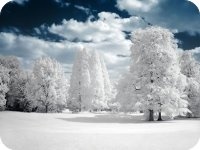 2801���������ȫ�������Ķ����   ������С˵�����