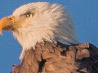 ����С˵ 2801������1-89����δɾ���½��Ķ���ַ