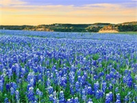 ���ȸ���ȻС˵ȫ������� ���ƻؿ�������ȫ��δɾ���½��Ķ���ַ