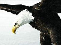 2801�����������½������� 2801�����������½��Ķ���ַ