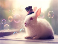   ���ƻؿ�����������ȫ�½������Ķ���ַ   ���ƻؿ�������С˵ȫ�½������