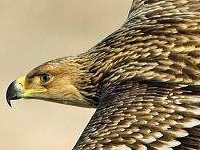 ����С˵ ���ڵȵ�����С�����Ӷ�1-89����δɾ���½��Ķ���ַ