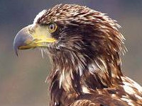 ����С˵ ��ѪС�����������Ƽ1-89����δɾ���½��Ķ���ַ