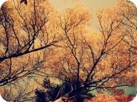 ������С��С˵ȫ�������    ������ͽ���������Ķ����