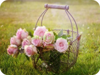 ����������С˵ȫ����Դ�Ķ���ַ Ī����ʢ�ZС˵ȫ�������Դ���߷���