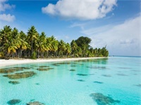 ����������Ī����ʢ�ZС˵ȫ������½������Ķ���ַ