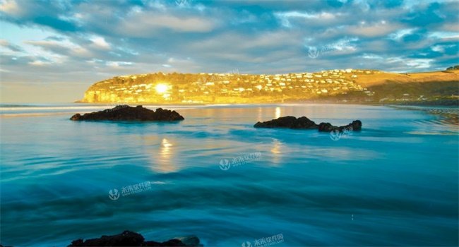 �ɳ�δ���������Ĺ˱�������걾�����Ķ���ַ