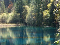 ��������������������Ī����ʢ�Zȫ���½ڷ���