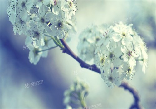 ����������ȫ������ Ī����ʢ�ZС˵������ȫ�������Ķ����