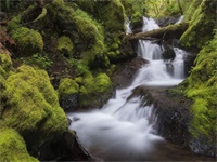 �ɳ�δ����������ȫ�������Ķ���� �ɳ�δ����С˵ȫ�������