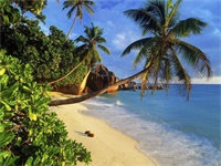 ������������С˵ȫ������� ���̰��ϻ��ȫ��δɾ���½��Ķ���ַ