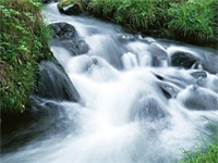 ���̰��ϻ��������������С˵ȫ������½������Ķ���ַ