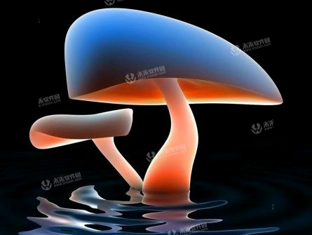 �ݾ���Ҷ����С˵����� �ص����������ȫ����Դ�����Ķ����