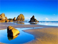 ����������������ȫ�½������Ķ���� ����������С˵ȫ�½������