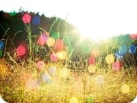 ���̰��ϻ��ȫ�������½������Ķ����      �������ų���������С˵�����