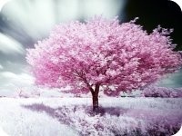 ���̰��ϻ�������½������Ķ����    �������ų���������С˵ȫ�������