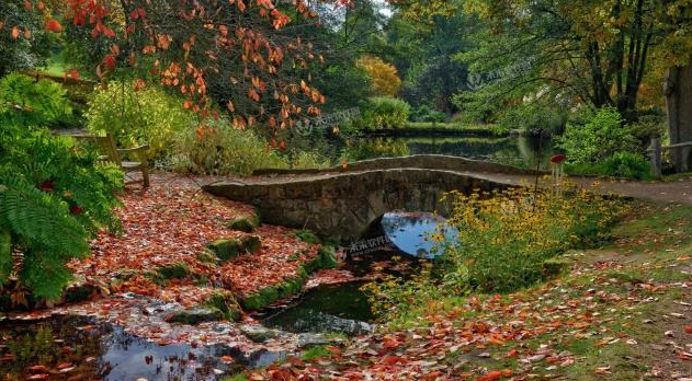 ������������С˵�����  ��ɫ����ȫ������½��Ķ���ַ