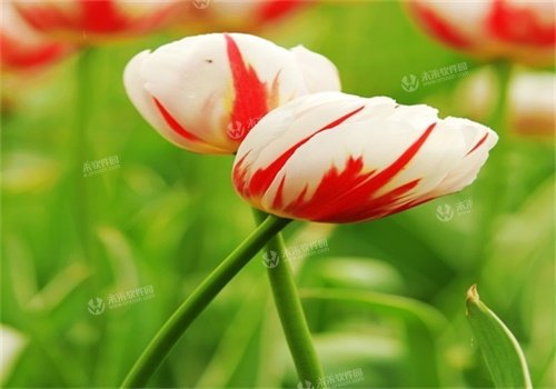 ����Ī��½��������С˵����ȫ�������Ķ����