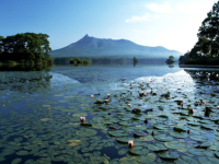 ���ɵ���е���������ȫ���½������Ķ���ַ ���ɵ���е���С˵�����