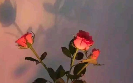 ���Ӷ���С��������ѳ� ���ɵ���е���ȫ������½��Ķ���ַ