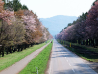 ���㿴������׺��걾С˵�����Ķ���� ���㿴������׺�ȫ�������Ķ���ַ